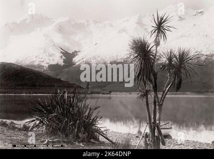 Fotografia d'epoca del XIX secolo: Nuova Zelanda - Pigeon Island, Wakatipu Foto Stock