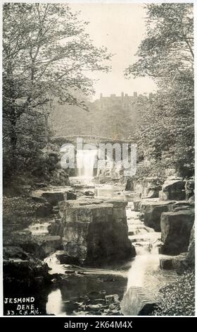 Waterfall, Jesmond Dene, Newcastle upon Tyne, Inghilterra. Foto Stock