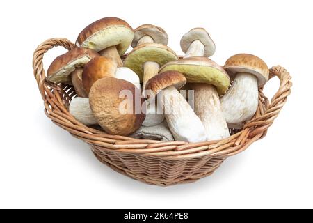 Le ceps, appena raccolte, si trovano in un piccolo cestino di vimini. Sfondo bianco, isolato Foto Stock