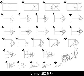 Tutorial come fare origami pavone. Istruzioni dettagliate. Uccello dalla carta senza forbici. Illustrazione Vettoriale