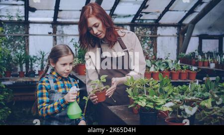 Giovane donna giardiniere esperto sta insegnando a sua figlia curiosa di spruzzare e lavare le foglie di plantst pentola verde con bottiglia di spruzzo all'interno della serra. Concetto di business per famiglie. Foto Stock