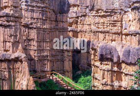 PHA Chor il fenomeno naturale dei pilastri del suolo erosi situato nel Parco Nazionale di Mae Wang, distretto di Doi lo, Chiang mai, Thailandia Foto Stock