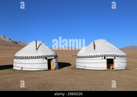 Boz Uy (Kyrgyz Yurts), campo di Rima Yurt, Song Kul, Terskey Ala-Too gamma, Tien Shan montagne, Regione di Naryn, Kirghizistan, Asia centrale Foto Stock