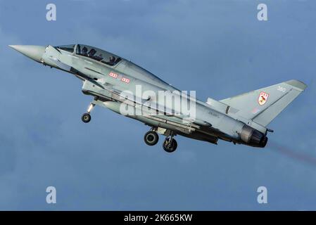 Combattente europeo Foto Stock