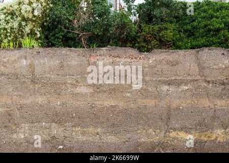 Profilo del suolo che mostra uno strato spesso di terreno con erba e arbusti in cima rivelato in cantiere, Ungheria, Europa Foto Stock