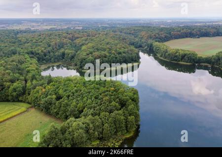 Lago Behlendorf, Foresta Behlendorf nel Parco Naturale dei Laghi di Lauenburg, Germania, Schleswig-Holstein, Herzogtum Lauenburg, Behlendorf Foto Stock