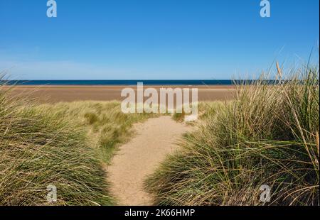 Percorso attraverso le dune di Holkham Bay, Holkham National Nature Reserve, Holkham, Norfolk Foto Stock