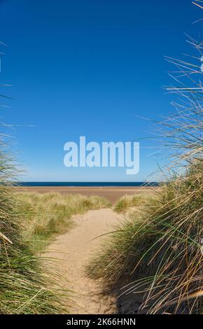 Percorso attraverso le dune di Holkham Bay, Holkham National Nature Reserve, Holkham, Norfolk Foto Stock