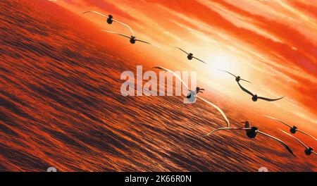 I GABBIANI VOLANO VERSO IL TRAMONTO, TROVANDO NEMO, 2003 Foto Stock