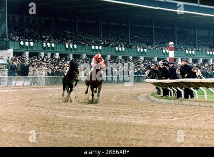 CHRIS MCCARRON, Gary Stevens, SEABISCUIT, 2003 Foto Stock