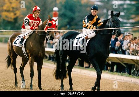 STEVENS, MCCARRON, SEABISCUIT, 2003 Foto Stock