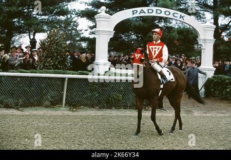 GARY STEVENS, SEABISCUIT, 2003 Foto Stock