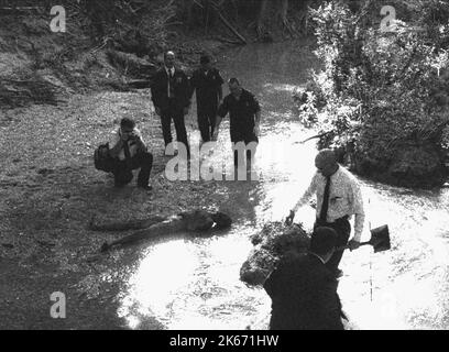 LA POLIZIA SCOPRE IL CADAVERE SULLA RIVA DEL FIUME, IL MASSACRO DELLA MOTOSEGA DEL TEXAS, 2003 Foto Stock