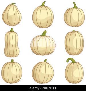 Collezione di zucche bianche per Halloween, il giorno del Ringraziamento, il Festival del raccolto. Set di simpatiche zucche di diverse forme e dimensioni. Illustrazioni cartoni animati per l'arredamento delle vacanze. Clip per scheda, poster. Illustrazione Vettoriale