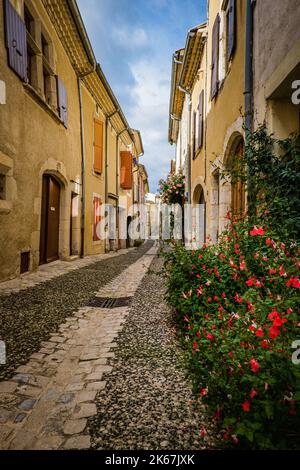 Case medievali e strada acciottolata nel villaggio di Rochemaure, nel sud della Francia (Ardeche) Foto Stock