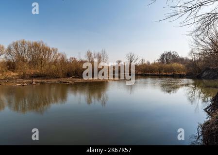 Il fiume Odre si stacca vicino a Polanka nad Odrou nella primavera del CHKO Poodri, nella repubblica Ceca Foto Stock