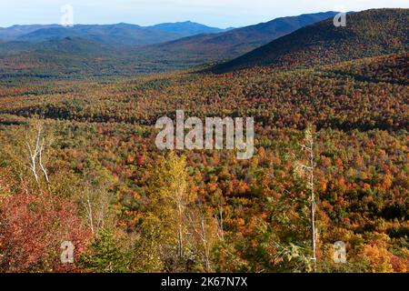 Fogliame autunnale, Wilmington, Adirondack Mountains, New York Foto Stock