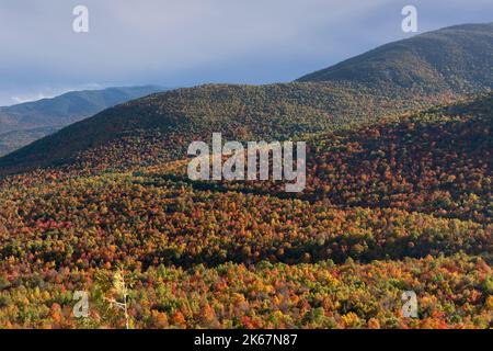 Fogliame autunnale, Wilmington, Adirondack Mountains, New York Foto Stock