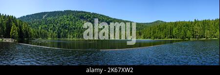 Vista sul lago Great Arber nella foresta bavarese Foto Stock