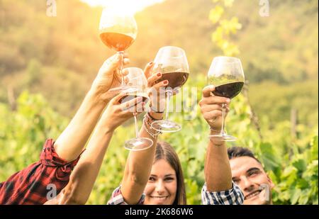 Gli amici brinda un bicchiere di vino rosso e si divertono a fare il tifo per l'esperienza di vinificazione - i giovani si divertono insieme nel tempo di raccolta al vin dell'agriturismo Foto Stock