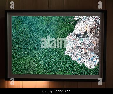 Il grande ronzio : Karine Aiger vince Wildlife Photographer of the Year 2022 fotografo .American Karine Aiger è stato annunciato come fotografo di quest'anno Wildlife Photographer of the Year per la sua notevole immagine di una pozza di cactus bees che gira sopra la sabbia calda su un ranch del Texas. Nel suo livello di api Primo piano, tutti tranne uno sono maschi e intenti ad accoppiarsi con la singola femmina al centro. Come la maggior parte delle api, sono minacciati dalla perdita di habitat, pesticidi, e cambiamento climatico, così come le pratiche agricole che distruggono i loro terreni di nidificazione. Foto Stock