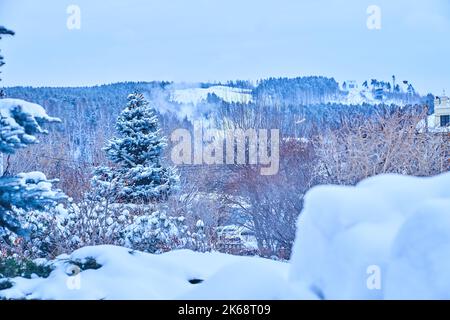 Splendido paesaggio invernale, neve e abete sullo sfondo di montagne e foreste. Natale sfondo naturale, stagione invernale. Foto di alta qualità Foto Stock