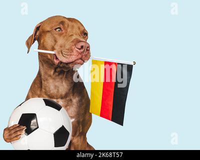 Affascinante, adorabile cucciolo, tenendo bandiera nazionale della Germania e palla da calcio. Preparativi per la Coppa del mondo. Primo piano, all'interno. Foto studio. Concetto di Foto Stock