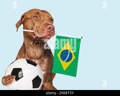 Affascinante, adorabile cucciolo, tenendo bandiera nazionale del Brasile e palla da calcio. Preparativi per la Coppa del mondo. Primo piano, all'interno. Foto studio. Concetto di Foto Stock