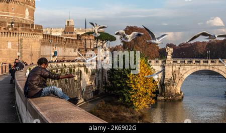 ROMA, ITALIA - 06 DICEMBRE 2019: Un giovane nutre gabbiani su un ponte a Roma Foto Stock