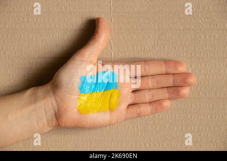 La bandiera dell'Ucraina è giallo-blu dipinta per mano di una ragazza. Legge marziale in Ucraina 2022. Fermare la guerra e la pace Foto Stock