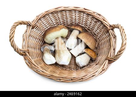 Cinque ceps trovato e messo in un piccolo cestino. Sfondo bianco, isolato Foto Stock