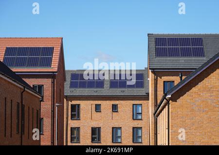Nuovi e moderni edifici di appartamenti con pannelli solari sul tetto a Londra, Inghilterra, Regno Unito, Regno Unito Foto Stock