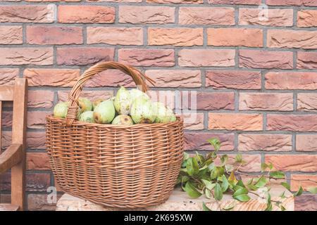 Pere del proprio giardino in un cestino di vimini con spazio per la copia del testo. Raccolta in casa, frutta fresca biologica raccolta. Sfondo muro di mattoni. Foto Stock