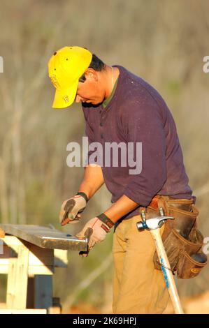 Ispanico taglierina latina sulla nuova home page sito in costruzione dove egli taglia tutti legname per prigionieri la casa pareti e simili Foto Stock