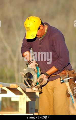 Taglierina latina ispanica sul nuovo luogo domestico di costruzione in cui taglia tutto il legname per studding le pareti domestiche e tali Foto Stock