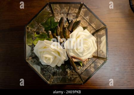 Una vista dall'alto di una scatola di vetro con succulenti e rose bianche Foto Stock
