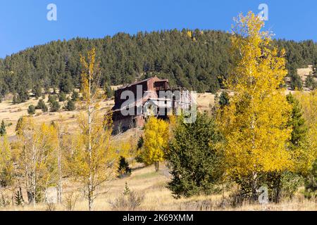 Le foglie di Aspen si trasformano in oro in un beautul Victor distretto minerario autunno. Foto Stock
