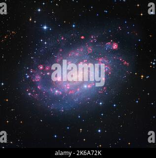 NGC 300, galassia a spirale in Sculptor. Foto Stock