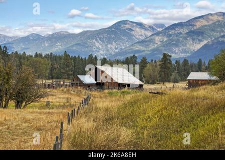 Un vecchio fienile in un pascolo con le montagne missione sullo sfondo vicino a Sant'Ignazio, Montana. Foto Stock