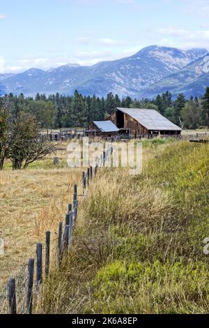 Un vecchio fienile in un pascolo con le montagne missione sullo sfondo vicino a Sant'Ignazio, Montana. Foto Stock