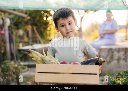 Ragazzo che porta a casa la scatola di legno piena di verdure appena raccolte per fare una sana colazione. Fattoria verdure autunnali biologiche. Famiglia felice Foto Stock