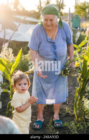 Nonna trascorrere del tempo con i suoi nipoti in giardino, la raccolta di verdure mature. La nonna è in piedi con la sua mano distesa al Foto Stock