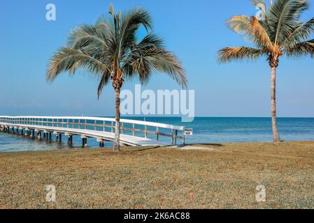 Una serena vista panoramica sul Porto di Charlotte di un molo di legno e palme a Bokeelia, Florida, su Pine Island, la quintessenza della Vecchia Florida Foto Stock