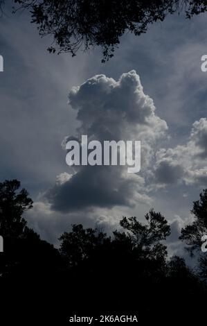 Trovo le nuvole affascinanti - le loro forme e sfumature che cambiano all'infinito rendono sempre interessante il cielo. Le nuvole di Cumulus sono il tipo più comune. Foto Stock