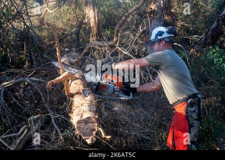 St. James City, Florida, Stati Uniti. 4th Ott 2022. Membri del 202nd Rapid Engineer Deployable Heavy Operational Repair Squadron Engineers (RED HORSE) Squadron, Florida Air National Guard, strade chiare a St. James City, Pine Island, Florida in risposta all'uragano Ian, ottobre. 4, 2022. Il 202nd Red HORSE Squadron, di stanza a Camp Blanding, Florida, è un team specializzato e altamente mobile di ingegneria civile composto da Florida Air National Guardsmen che fornisce capacità di risposta rapida per molteplici contingenze e operazioni in tutto il mondo. (Credit Image: © U.S. National Guard/ZUMA Press W Foto Stock