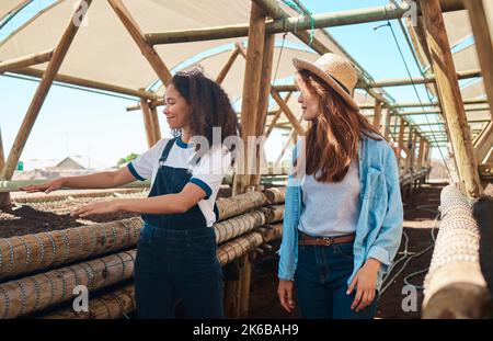 La manutenzione di raccolto regolare può provvedere raccolti di qualità e prodotti stabili. Due donne giovani che lavorano insieme su una fattoria. Foto Stock