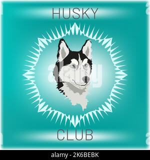 Realistico cane da Husky siberiano dall'occhio blu e bianco, testa muso muso, in cerchio stellato, testo Husky Club. Cane vettore piatto Illustrazione Vettoriale