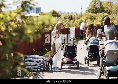 Vista laterale di una donna felice in hijab parlando con un amico da passeggino bambino sul sentiero Foto Stock