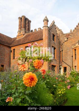 Chenies Manor e giardino circondato da colorate dahlias nel mese di ottobre.Dahlia 'Grande Ercole' fiori di bronzo arancione sopra il resto e Rosa 'Ballerinaa'. Foto Stock
