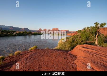 Alba sul fiume Colorado con la canonica / Priest & Nuns, Madre superiore e il Convento & Parriott Mesa. Moab, Utah. A sinistra si trova la SAL Foto Stock